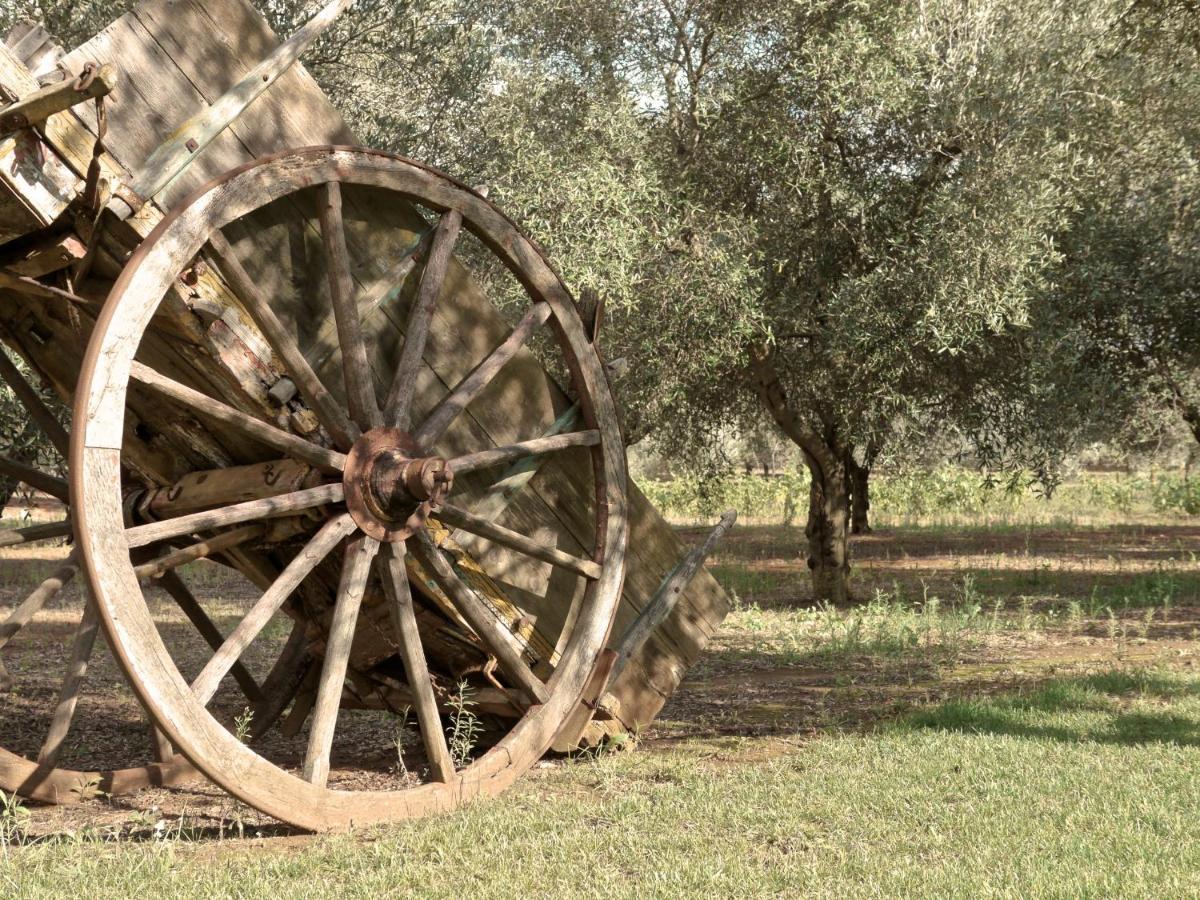 Tenuta Masseria & Spa Chicco Rizzo Sternatia 外观 照片